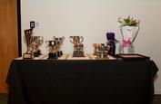 244A3812 Trophy Table